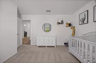 325 Granary Dr, Uhland, TX 78640 - Photo 28