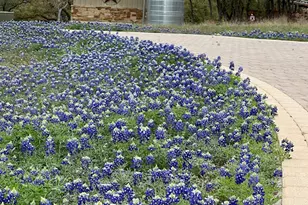 9825 Grand Summit Blvd, Dripping Springs, TX 78620 - Photo 40