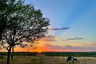 1096 Co Rd 447, Waelder, TX 78959 - Photo 6