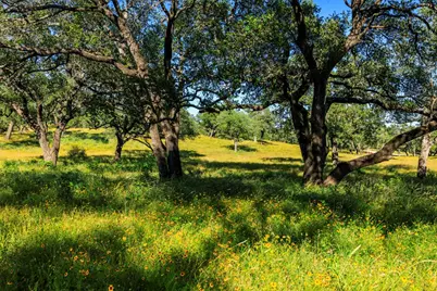 3736-3 County Rd 113, Llano, TX 78643 - Photo 10