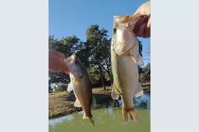 251 Fairview Drive, Rockdale, TX 76567 - Photo 8