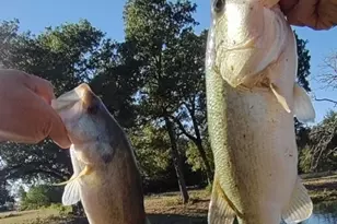 251 Fairview Dr, Rockdale, TX 76567 - Photo 8