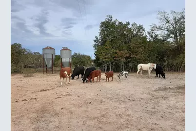 251 Fairview Drive, Rockdale, TX 76567 - Photo 6