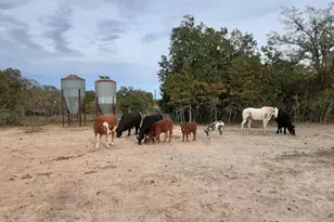 251 Fairview Dr, Rockdale, TX 76567 - Photo 6