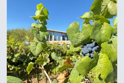 9361 W US Highway 290 #6, Hye, TX 78635 - Photo 36