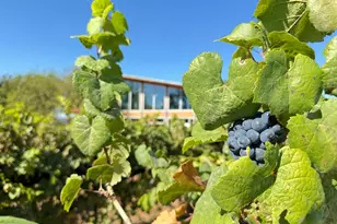 9361 W US Hwy 290, Hye, TX 78635 - Photo 36