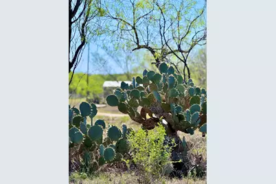 3775 Baker Road, Kingsbury, TX 78638 - Photo 2