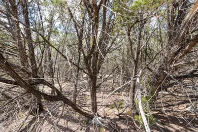 27 Sitting Bull Road, Wimberley, TX 78676 - Photo 2