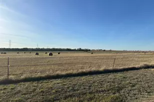 8038 Ohnheiser Kaase Rd, La Grange, TX 78945 - Photo 1