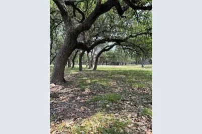 Tbd Old Red Ranch Road, Dripping Springs, TX 78620 - Photo 4