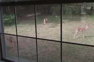 2405 Farragret Cove, Lago Vista, TX 78645 - Photo 16