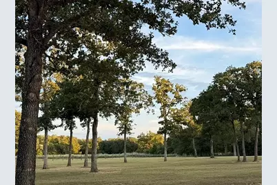 1032 Private Road 7039, Lexington, TX 78947 - Photo 4