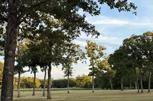 1032 Private Rd 7039, Lexington, TX 78947 - Photo 4