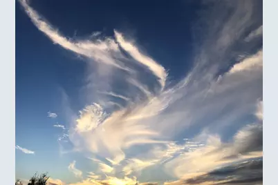 156 Lazy Leaf Lane, Wimberley, TX 78676 - Photo 40