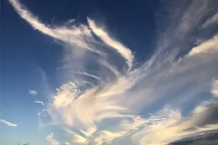 156 Lazy Leaf Ln, Wimberley, TX 78676 - Photo 40