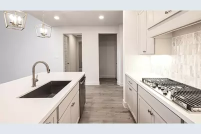 284 Prickly Poppy Loop, Kyle, TX 78640 - Photo 14