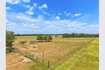 372 Hofferek Road, Rosanky, TX 78953 - Photo 4