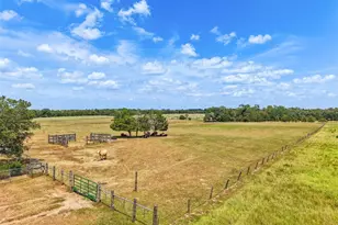 372 Hofferek Rd, Rosanky, TX 78953 - Photo 4