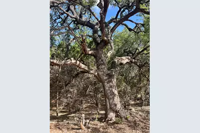 753 Appaloosa Drive, Fischer, TX 78623 - Photo 8