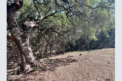 753 Appaloosa Drive, Fischer, TX 78623 - Photo 6