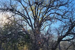 Lot 434-435 Rockcrest Dr, Granite Shoals, TX 78654 - Photo 4