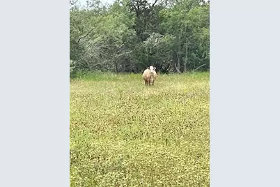 68 Pitchfork Ranch Road, Copperas Cove, TX 76522 - Photo 22