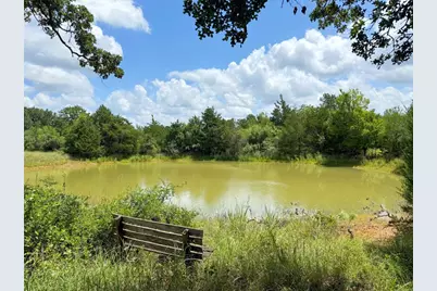 Tbd Grassyville Road, Paige, TX 78659 - Photo 1