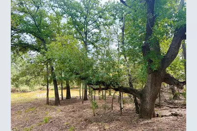 Tbd Grassyville Road, Paige, TX 78659 - Photo 18