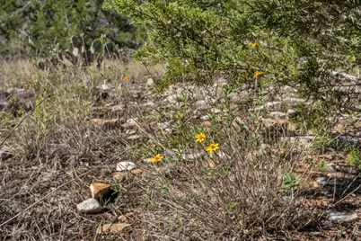 Tbd 17.9 Acres Altwein Road, Blanco, TX 78606 - Photo 18