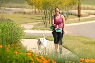 221 Running Fawn, Georgetown, TX 78628 - Photo 10