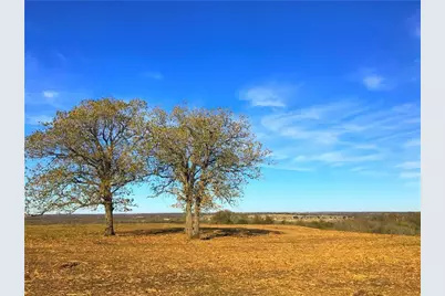 10521 Bitting School Road, Manor, TX 78653 - Photo 10