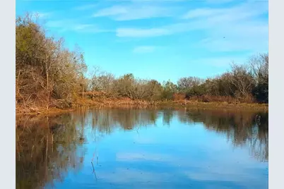 10521 Bitting School Road, Manor, TX 78653 - Photo 6