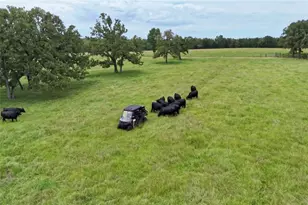 705 Antioch Rd, Paige, TX 78659 - Photo 34