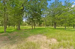 705 Antioch Rd, Paige, TX 78659 - Photo 38