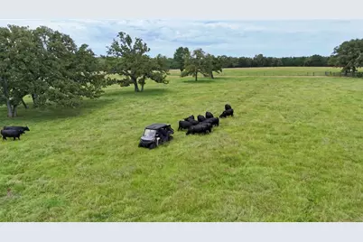 705 Antioch Road, Paige, TX 78659 - Photo 36