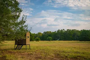 705 Antioch Rd, Paige, TX 78659 - Photo 34