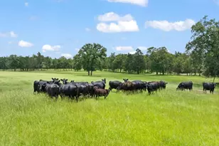 705 Antioch Rd, Paige, TX 78659 - Photo 6