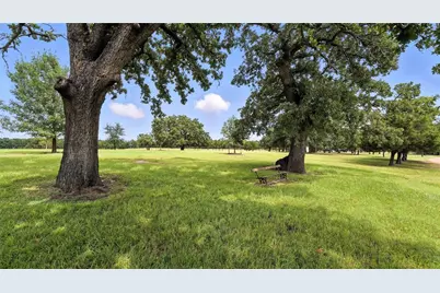 705 Antioch Road, Paige, TX 78659 - Photo 10
