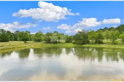 705 Antioch Road, Paige, TX 78659 - Photo 8