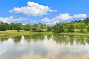 705 Antioch Rd, Paige, TX 78659 - Photo 8