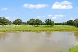 705 Antioch Rd, Paige, TX 78659 - Photo 38