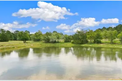705 Antioch Road, Paige, TX 78659 - Photo 8