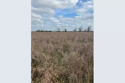 Tbd Lot 1 Beal Road, Eagle Lake, TX 77434 - Photo 4