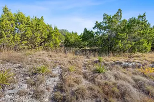 220 Harmon Hills Rd, Dripping Springs, TX 78620 - Photo 28