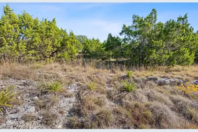 220 Harmon Hills Road, Dripping Springs, TX 78620 - Photo 28