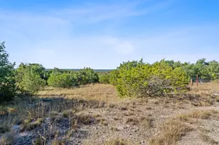 220 Harmon Hills Rd, Dripping Springs, TX 78620 - Photo 26