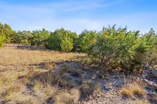 220 Harmon Hills Rd, Dripping Springs, TX 78620 - Photo 26