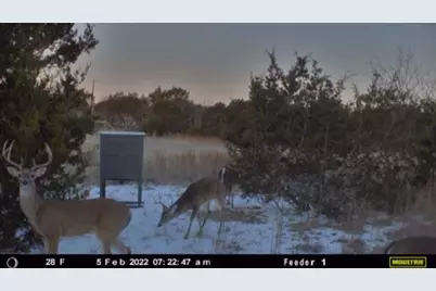 Tbd E Fm 581, Lometa, TX 76853 - Photo 12
