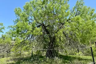 Tbd Acorn Rd, Lockhart, TX 78644 - Photo 1