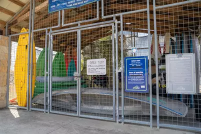 18313 Anicio Gallo Drive, Pflugerville, TX 78660 - Photo 30